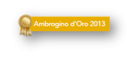 Ambrogino d'oro 2013